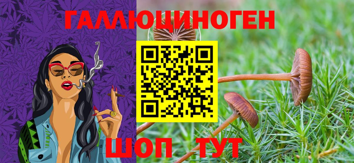 Псилоцибиновые грибы ЛСД Киров