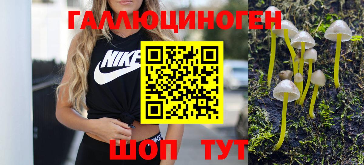 купить наркоту  Галлюциногенные грибы MAGIC MUSHROOMS  Вход с VPN  Киров 